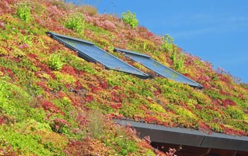 Toft Next Newton living roof systems