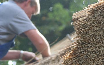 professional Toft Next Newton thatchers