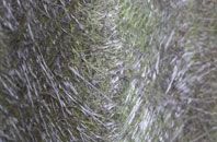 Toft Next Newton fibreglass roof work